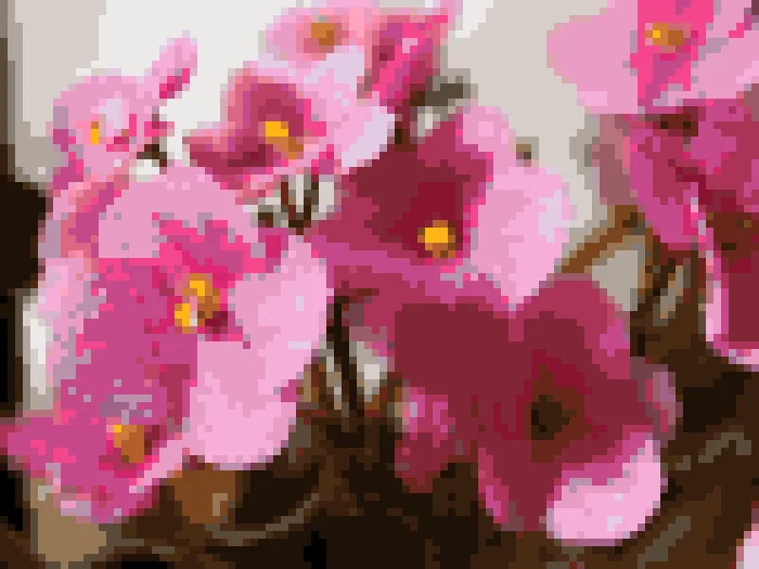 Maximum colors 40