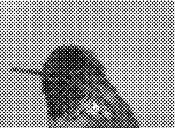 Poster — 12 LPI