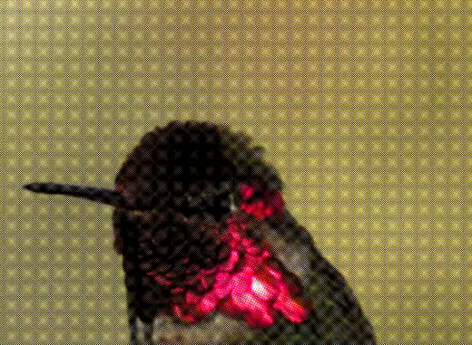 Process (CMYK)