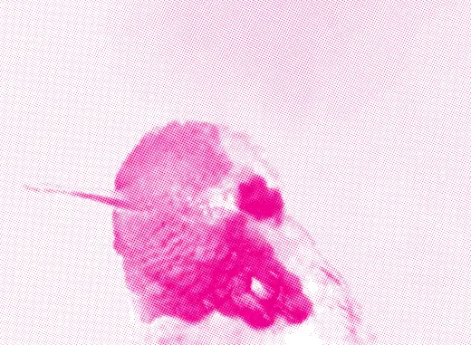 Magenta
